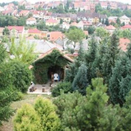 Willa Borbarat Vendeghaz Eger Zewnętrze zdjęcie