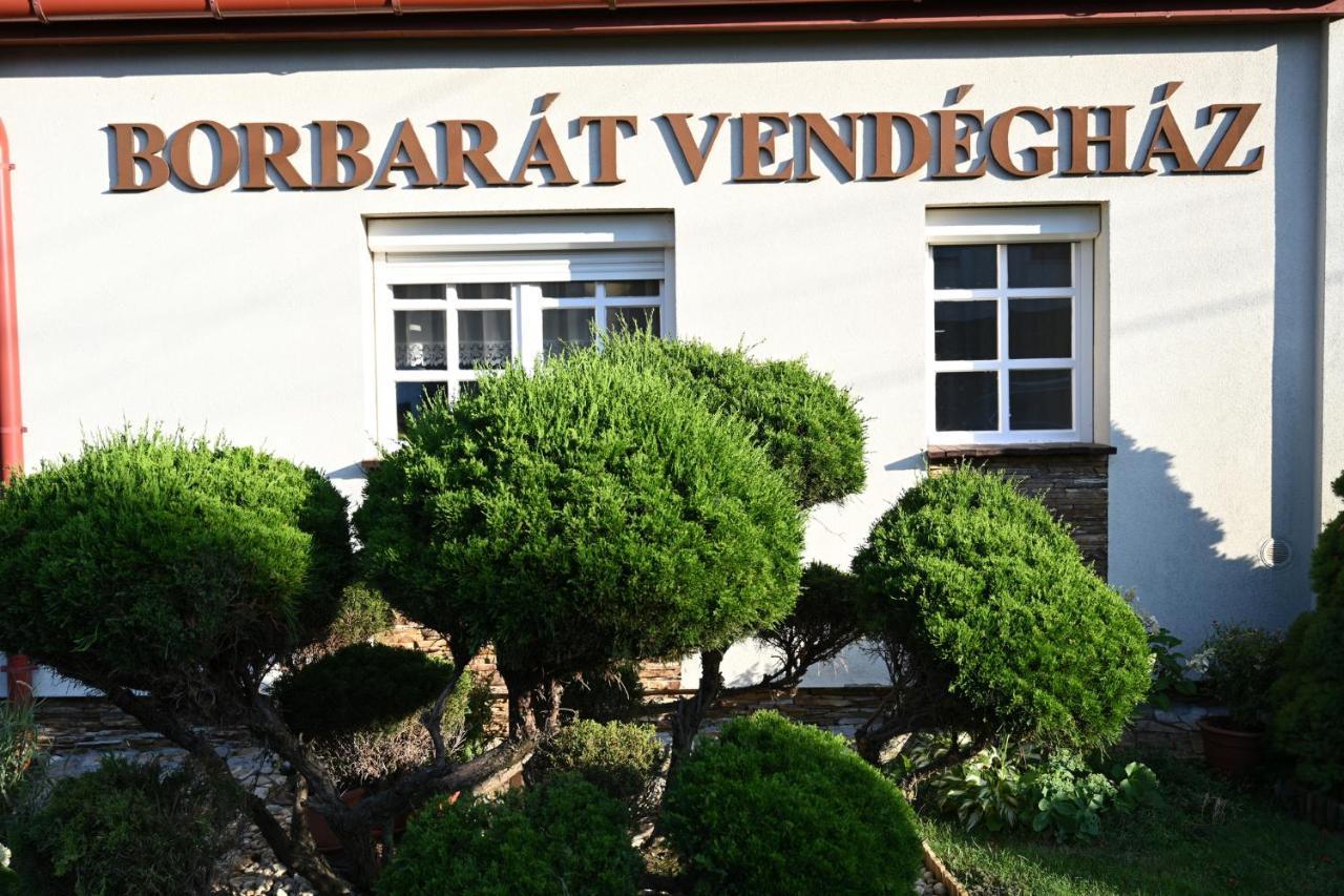 Willa Borbarat Vendeghaz Eger Zewnętrze zdjęcie
